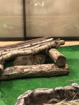 那須どうぶつ王国に投稿された画像（2020/9/22）