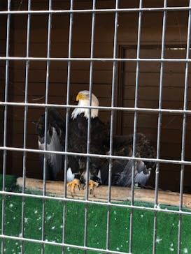 那須どうぶつ王国に投稿された画像（2020/9/22）