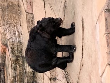 天王寺動物園に投稿された画像（2020/9/22）