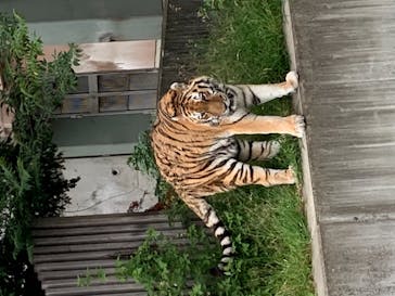 天王寺動物園に投稿された画像（2020/9/22）