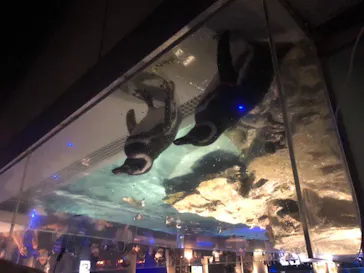 すみだ水族館に投稿された画像（2020/9/22）