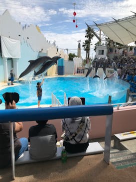 株式会社Gに投稿された画像（2020/9/22）