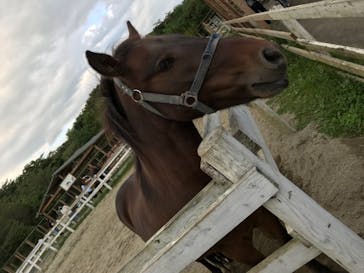 那須どうぶつ王国に投稿された画像（2020/9/22）