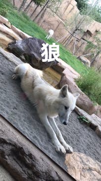 那須どうぶつ王国に投稿された画像（2020/9/22）