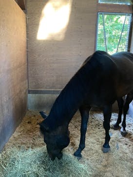 ノーザンホースパークに投稿された画像（2020/9/22）