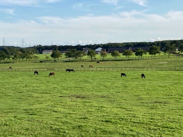 ノーザンホースパークに投稿された画像（2020/9/22）