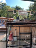 しろとり動物園に投稿された画像（2020/9/22）