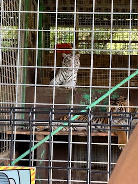 しろとり動物園に投稿された画像（2020/9/22）