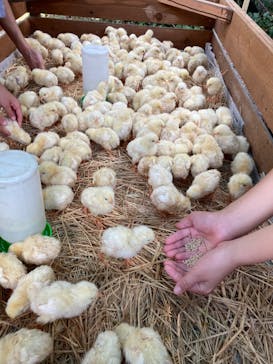 しろとり動物園に投稿された画像（2020/9/22）