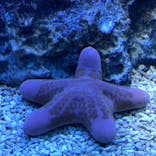 サンシャイン水族館に投稿された画像（2020/9/22）