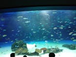 サンシャイン水族館に投稿された画像（2020/9/22）