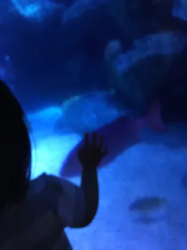 すみだ水族館に投稿された画像（2020/9/22）
