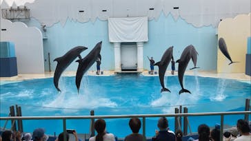 株式会社Gに投稿された画像（2020/9/22）