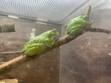 仙台うみの杜水族館に投稿された画像（2020/9/22）