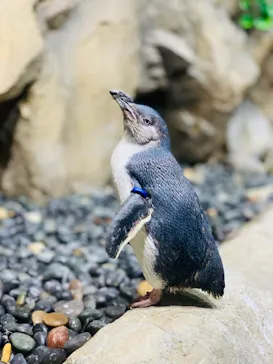 仙台うみの杜水族館に投稿された画像（2020/9/22）
