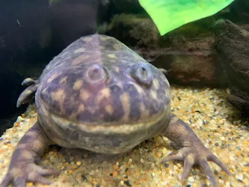 仙台うみの杜水族館に投稿された画像（2020/9/22）