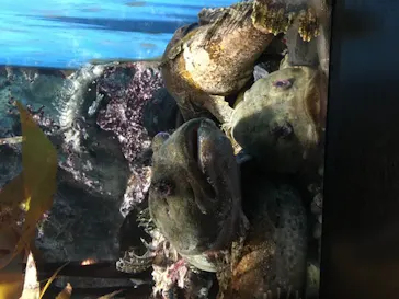 仙台うみの杜水族館に投稿された画像（2020/9/22）