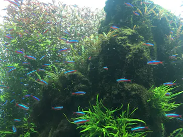 すみだ水族館に投稿された画像（2020/9/22）