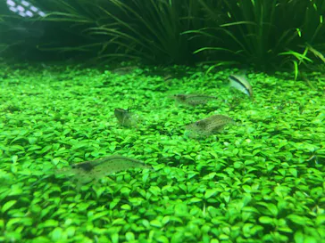 すみだ水族館に投稿された画像（2020/9/22）