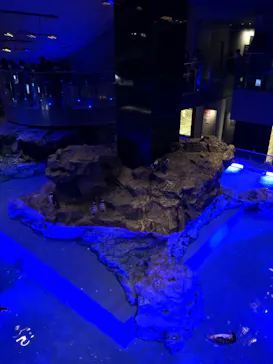 すみだ水族館に投稿された画像（2020/9/22）