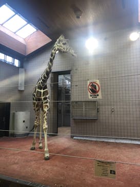 天王寺動物園に投稿された画像（2020/9/22）