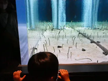 すみだ水族館に投稿された画像（2020/9/22）