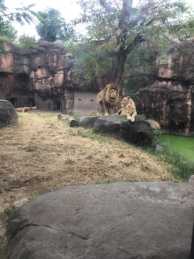 天王寺動物園に投稿された画像（2020/9/22）