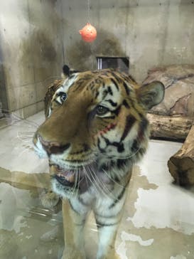 天王寺動物園に投稿された画像（2020/9/22）