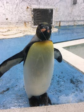 天王寺動物園に投稿された画像（2020/9/22）