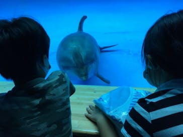 アクアワールド茨城県大洗水族館に投稿された画像（2020/9/22）