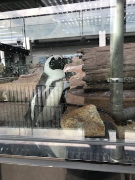 京都水族館に投稿された画像（2020/9/22）