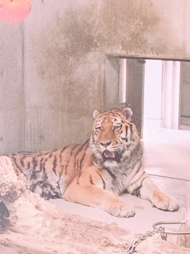 天王寺動物園に投稿された画像（2020/9/22）