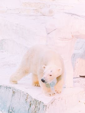 天王寺動物園に投稿された画像（2020/9/22）
