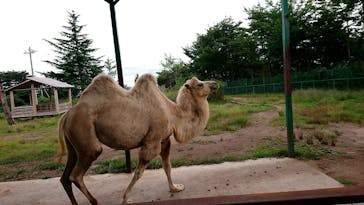 東北サファリパークに投稿された画像（2020/9/22）