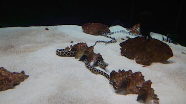 株式会社Gに投稿された画像（2020/9/22）