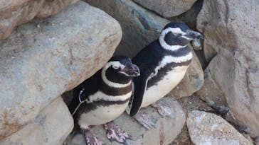 株式会社Gに投稿された画像（2020/9/22）