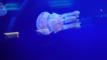 株式会社Gに投稿された画像（2020/9/22）