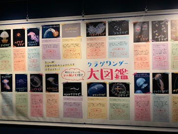 京都水族館に投稿された画像（2020/9/22）