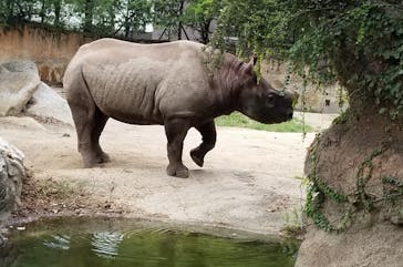 天王寺動物園に投稿された画像（2020/9/22）