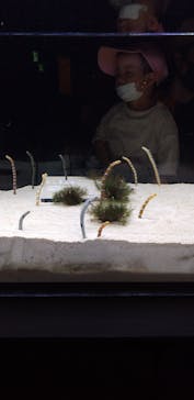 京都水族館に投稿された画像（2020/9/23）