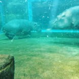 旭川市旭山動物園に投稿された画像（2020/9/23）