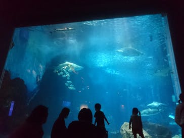 マリンワールド海の中道に投稿された画像（2020/9/23）