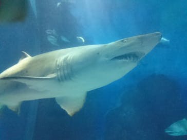 マリンワールド海の中道に投稿された画像（2020/9/23）