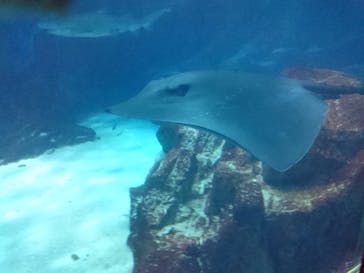 マリンワールド海の中道に投稿された画像（2020/9/23）