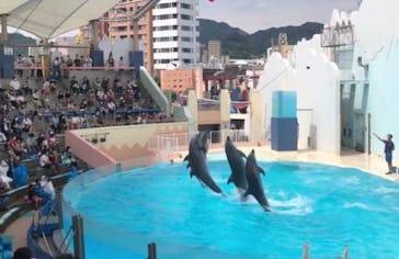 株式会社Gに投稿された画像（2020/9/23）