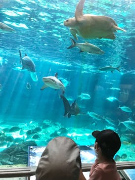 株式会社Gに投稿された画像（2020/9/23）