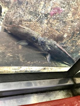 株式会社Gに投稿された画像（2020/9/23）