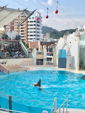 株式会社Gに投稿された画像（2020/9/23）