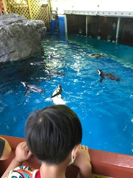 株式会社Gに投稿された画像（2020/9/23）