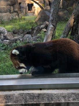 天王寺動物園に投稿された画像（2020/9/23）